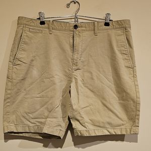 Penguin Chino Shorts